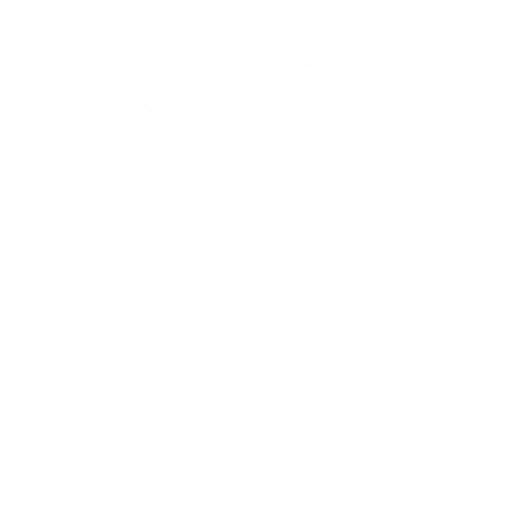 LN Monogram